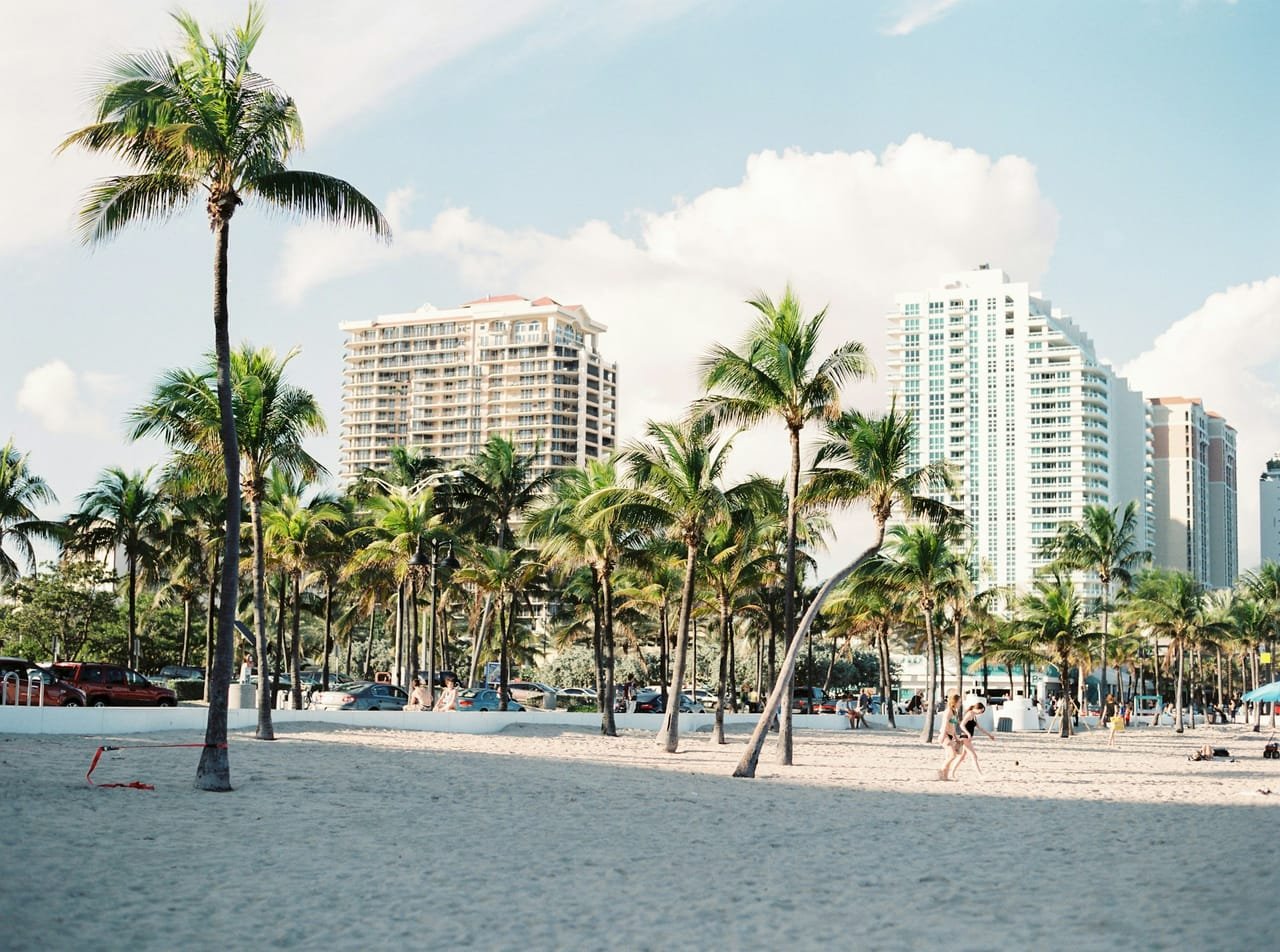 Palm-lined beach in Miami